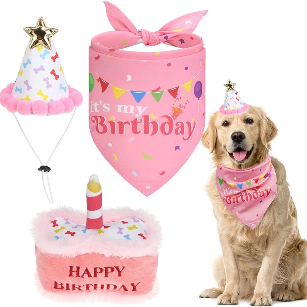 Pink Dog Cat Birthday Outfit - Cute Hat Bandana Scarf and Squeaky Cake Dog Toy
